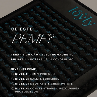 Saltea PEMF Go portabilă