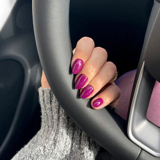 Fuchsia
